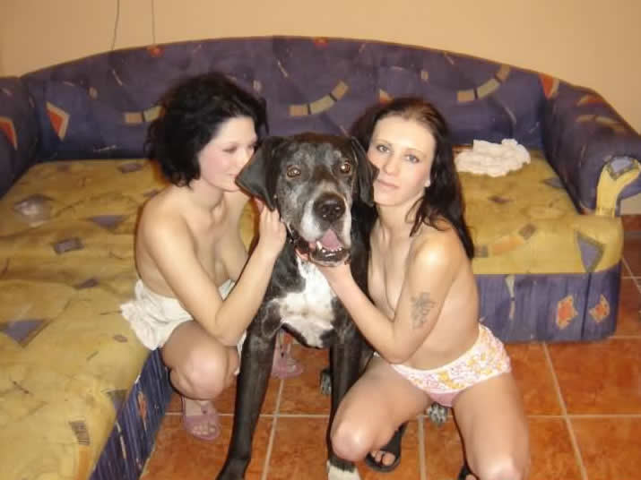 Porn video for tag : Lesbian dog orgy