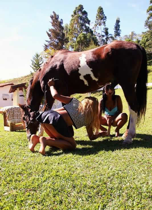 Bestiality Swingers ::. Skinny brunette shows how to have sex with a horse.
