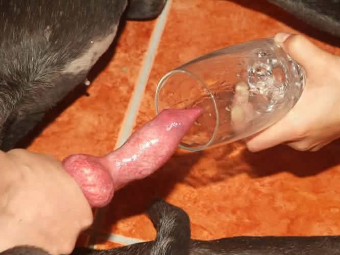 This homemade dog sex porn family video, mega zoo funs dog sex, was shot at...