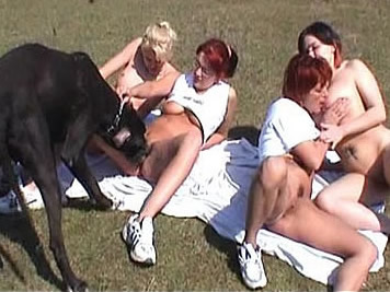 Bestiality Swingers ::. - Outdoors group orgy with a huge great dane