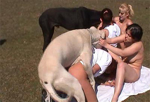 Dog Group - Bestiality Swingers ::. - Outdoors group orgy with a huge great dane
