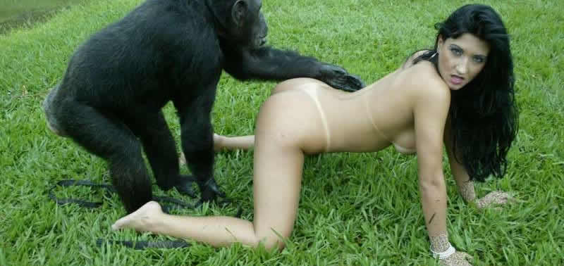 Young girl practice sex with a monkey on a private ranch. 