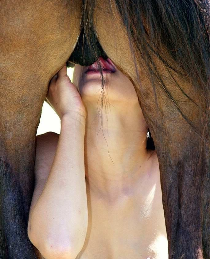 Horse dick sucking sucking