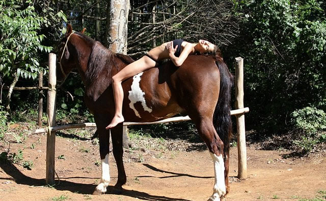 Bestiality Swingers ::. Young Brazilian girl shows how to fuck a horse
