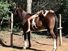 Bestiality Swingers ::. Young Brazilian girl shows how to fuck a horse