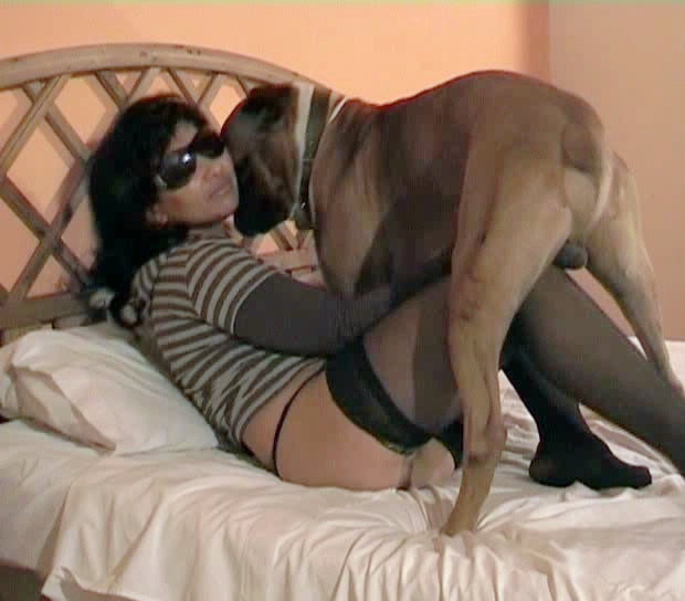 Porn video for tag : Sex party with dog