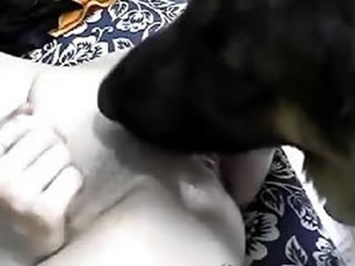 Dog licking young girl pussy